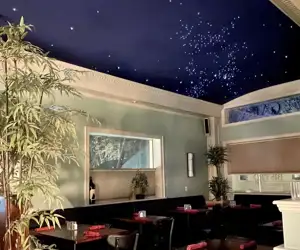 Blue Cat dining room with stars on the ceiling